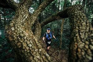 BIB: 
                            <button type="button" onclick="openModal(25394044)" class="btn btn-primary btn-sm float-right btn-popup" data-toggle="modal" data-target=".modal-high-quality">
                        <i class="fas fa-shopping-cart"></i> Add to Cart
                    </button>
                                            <button type="button" onclick="isThisMe(25394044, true)" class="btn btn-success btn-sm float-right btn-popup btn-isme hidden" data-toggle="tooltip" data-placement="bottom" title="นี่คือรูปของคุณใช่ไหม คลิกที่นี่เพื่อเอาเข้าอัลบั้ม">
                        <i class="fas fa-plus"></i> Add to album
                    </button>
                    <button type="button" onclick="isThisMe(25394044, false)" class="btn btn-warning btn-sm float-right btn-popup btn-isnotme hidden">
                        <i class="fas fa-ban"></i> Remove from album
                    </button>